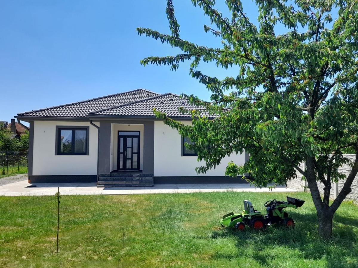 Casanova Villa Sînmartin Exteriör bild